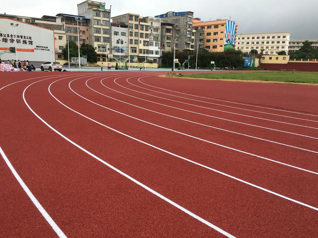 定安县橡胶跑道塑胶跑道材料 - 方案